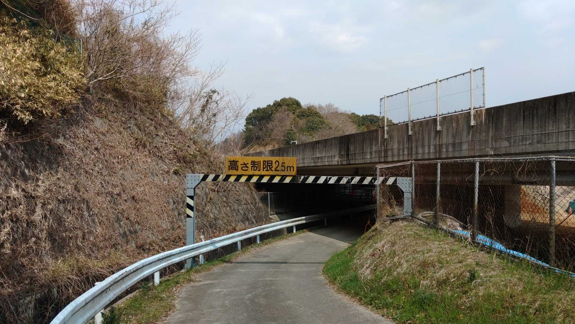 伊勢道くぐります