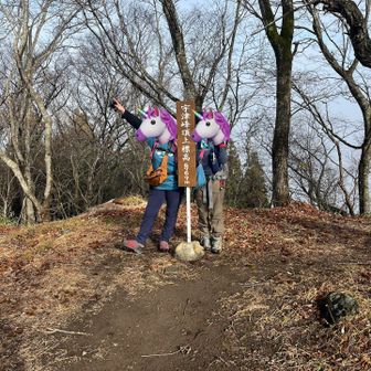 来年は午年！
その前に有馬もあります🐎