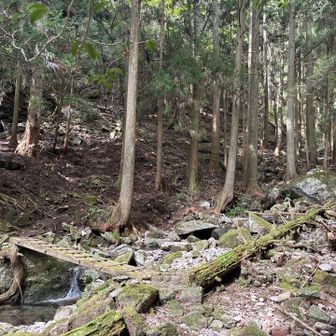 川渡る。川渡る箇所は数箇所あった。
