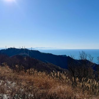 遠くに霞んで妙高山⛰️
電波塔がたくさんあるのが弥彦山