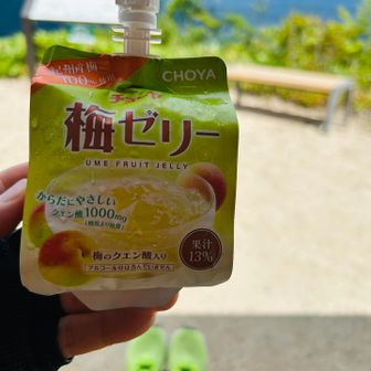 😋先ずは原山山頂、梅パワーでクールダウン⤵️