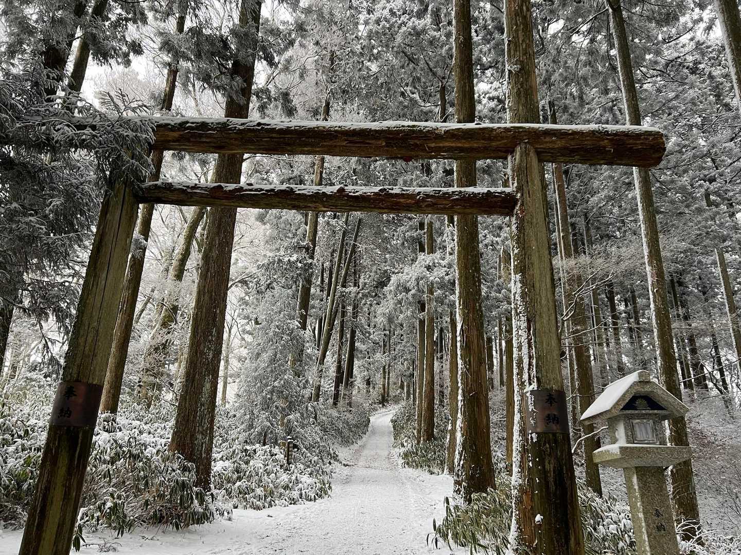 百ヶ辻登山口-金剛山山頂売店-金剛山-転法輪寺-金剛山葛木 周回コースの写真