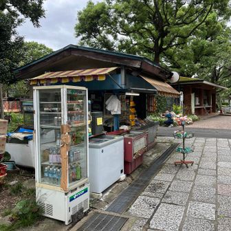 小さなお店に、おやつがずらり🍘