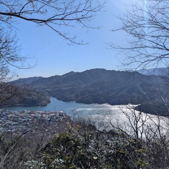 相模湖に降りてくる