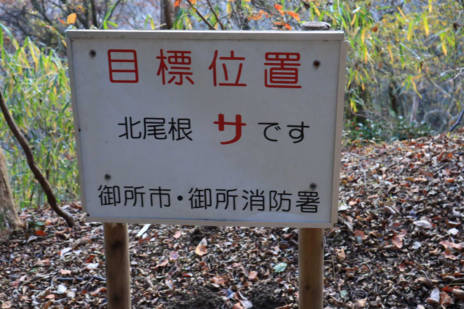 ここは、「サ」ですね。
何で「サ」？？