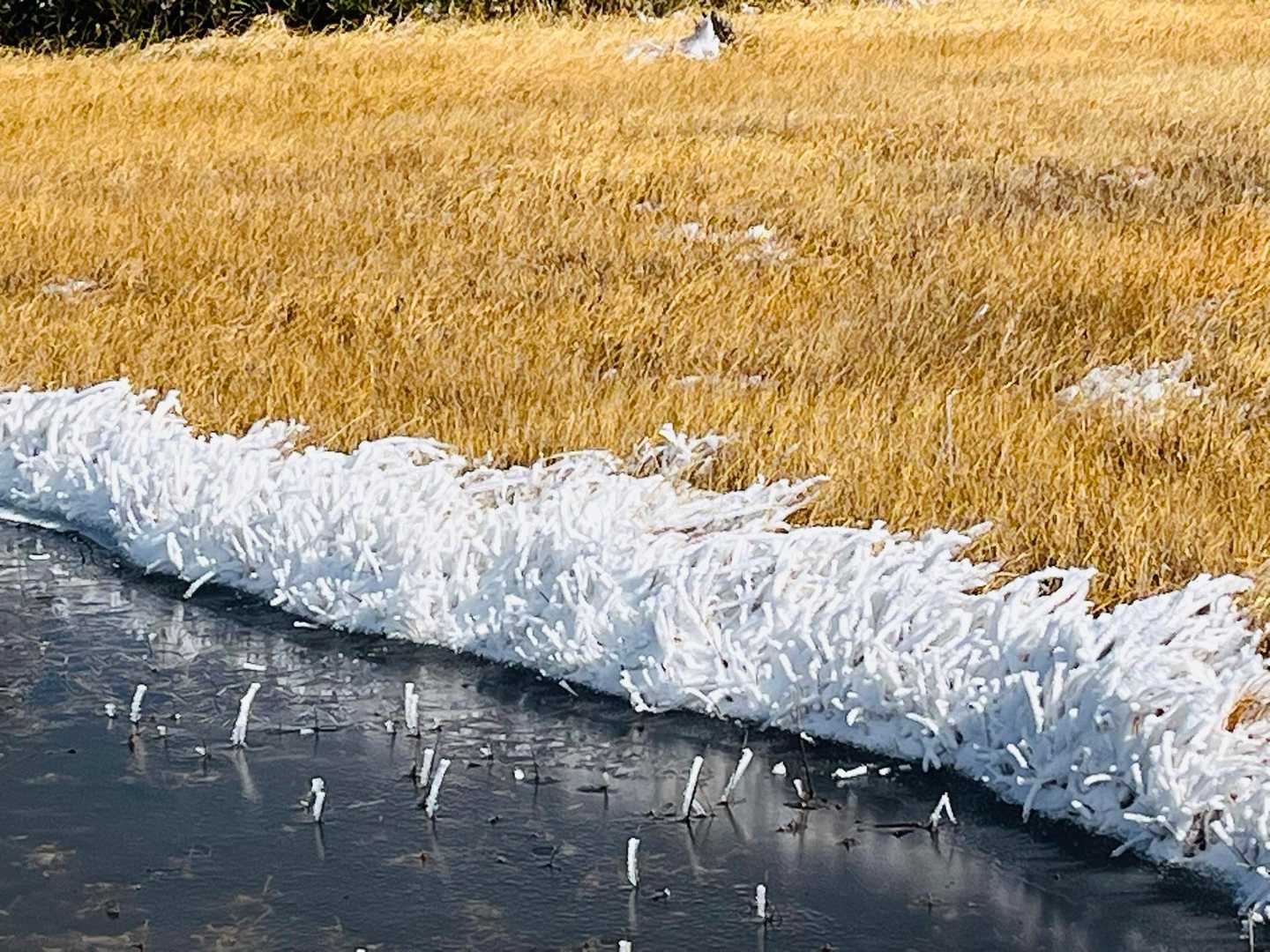 八幡平 | 初夏は青き竜の目、秋は黄金の湿原、神秘の池塘を巡るスカイウォークの写真