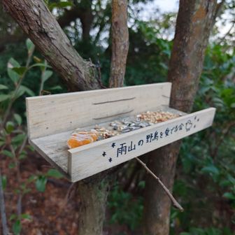 おしゃれなランチプレートみたい🤤