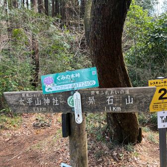 ぐみの木峠まで戻ってきました。