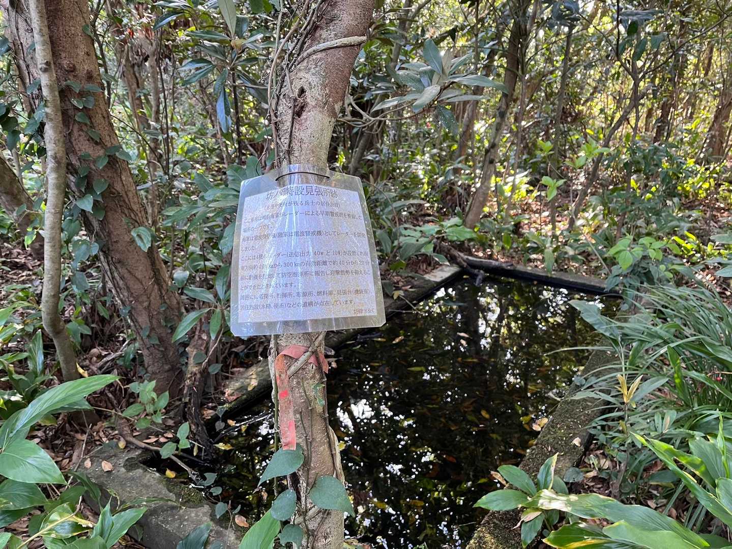 本当に水槽だった