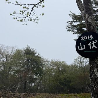 聖が良く見える展望台
いつもここで休憩したけど・・・
霧雨☔のため、先に進みます
