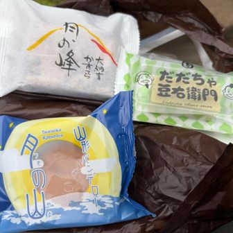 鶴岡駅ナカで前日購入したご当地和菓子。行動食に。