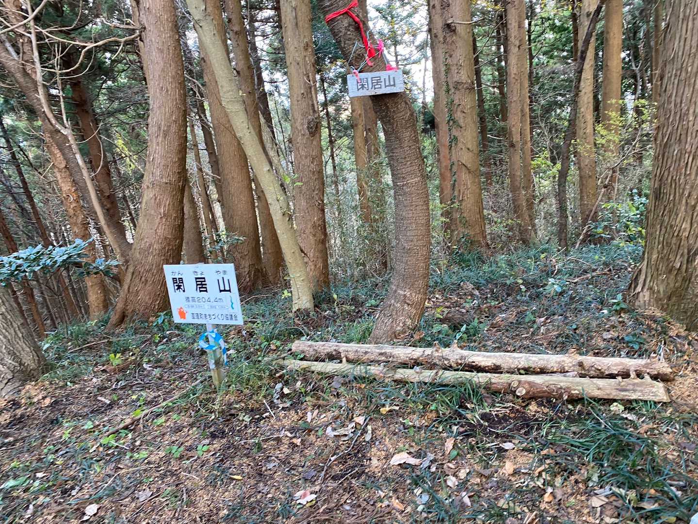 すでに選手がスタートして30分が経過した上でのソロスタートだったyukaさんに登山口まで送ってもらったが多分選手は別のルートから登ったと思われる