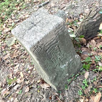 少し離れたところに三角点ありました