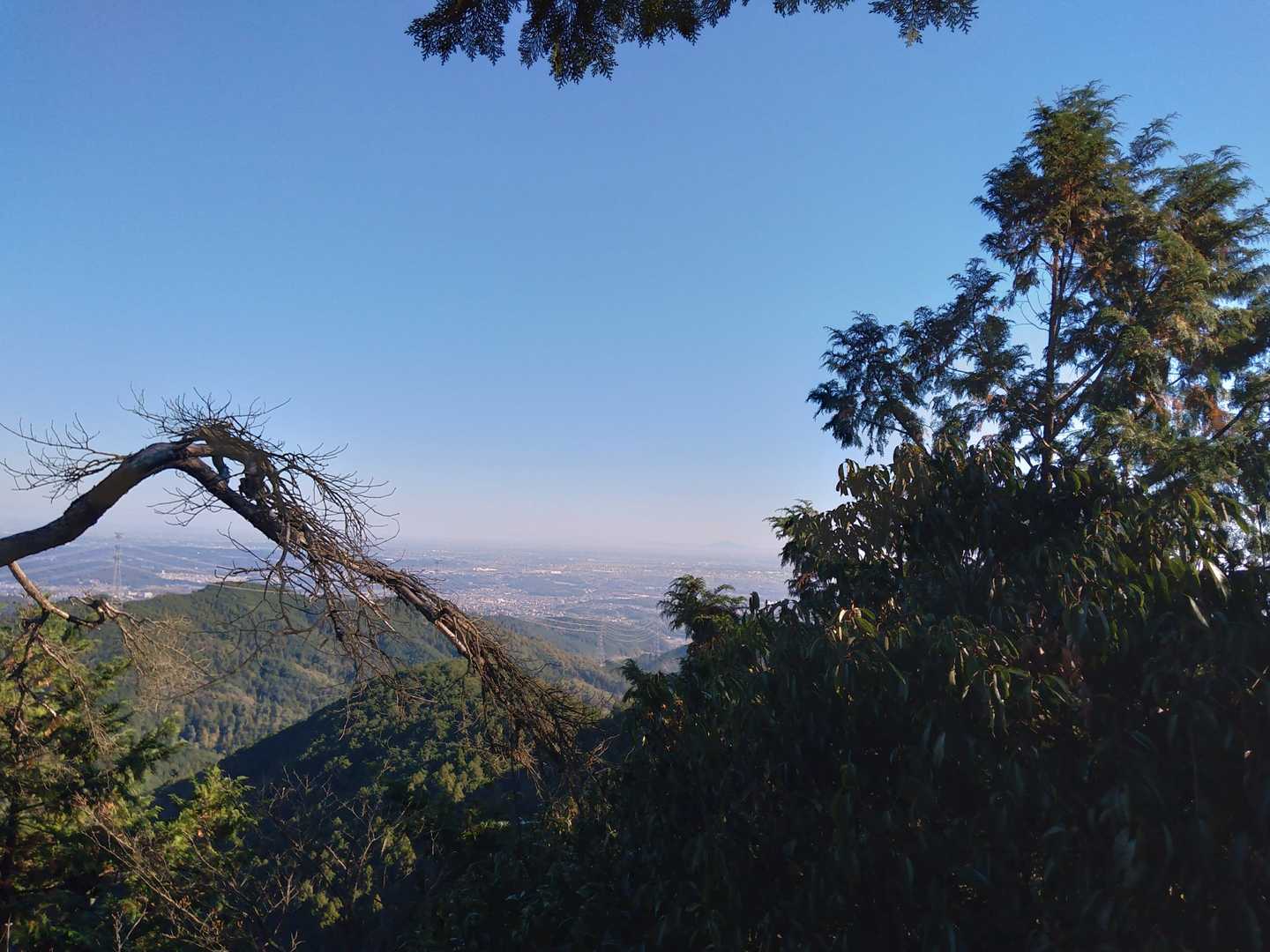 観音ｶﾞ岳