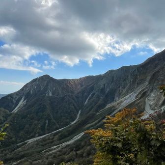 紅葉が始まっています🍁