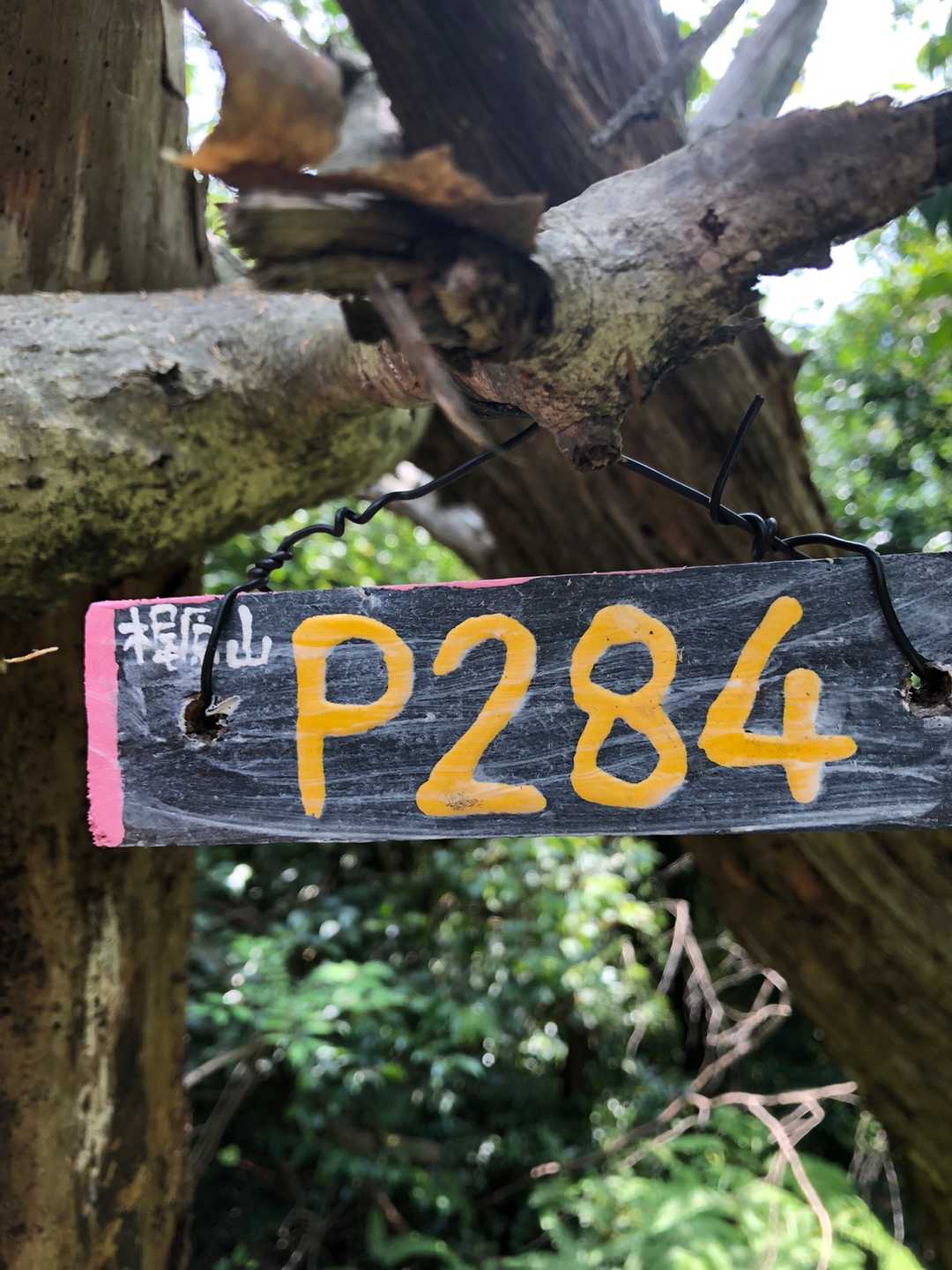 梶原山⛰初登頂❣️（実は今まで知らなかったけど）