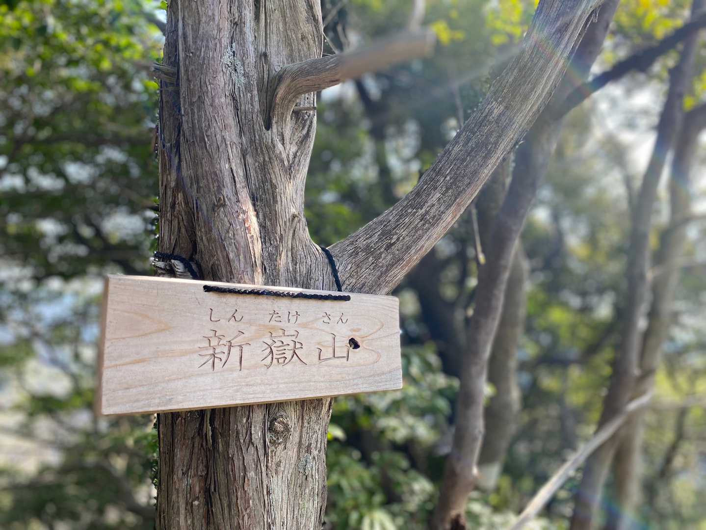 新嶽山は眺望なしネ
