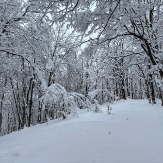 だーれもいない
静かです