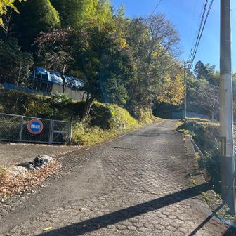 アスファルトから始まり〜