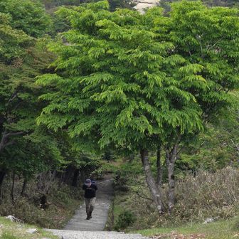 たっくんが追いかけてきた💨
全身汗だくで、タオルが絞れるくらいの汗😅
雨乞から三人山経由でおりてきて、限界尾根を登ってきたらしい🏃‍♀️