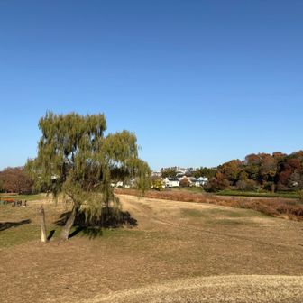 山頂からの眺望笑