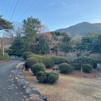 舗装された道路を登ります。車両通行禁止なので安心して歩ける🏃‍♂️