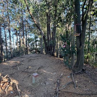 太鼓曲輪山410m
すぐ先の分岐で唐沢山&地蔵峰に寄り道します