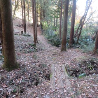 歩きやすい下り道でさっさと下りました。