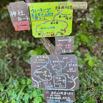 かわいい手書きの案内板