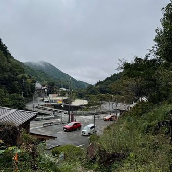 次は何処へ探しに行こうか……、

“ネットは広大だわ…”

（アニメ攻殻機動隊の主人公、草薙素子のラストシーンでの台詞です。楽しい時期は過ぎるのも早いもので、もう終わってしまいましたぁ…。）
(´ﾟ艸ﾟ)ﾌﾟﾌﾟｯ

基本的に“ハナホウキタケ”は有毒キノコになりますので、採って持ち帰る輩も居ないでしょうから、位置情報はそのままにしてあります。

興味ある方は“宝探し”だと思って散策されてはいかがでしょうか？
ꉂꉂ((´∀`๑)ヶﾗヶﾗ

おつかれちゃんでしたぁ！
(*´▽｀)ﾉﾉ
