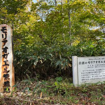 第一チェックポイントの白沼到着