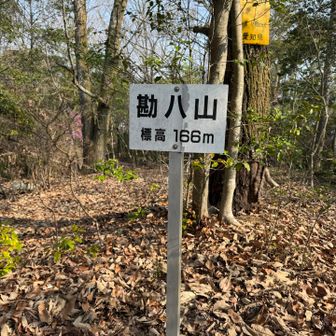 勘八山| ᐕ)っ🚩  あっという間に🚩get