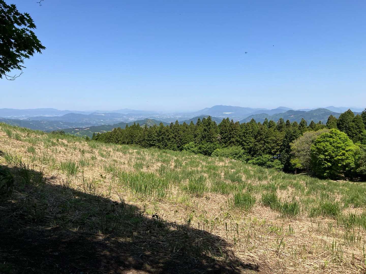 スキー場に出ました　あまり植物がいない🤔