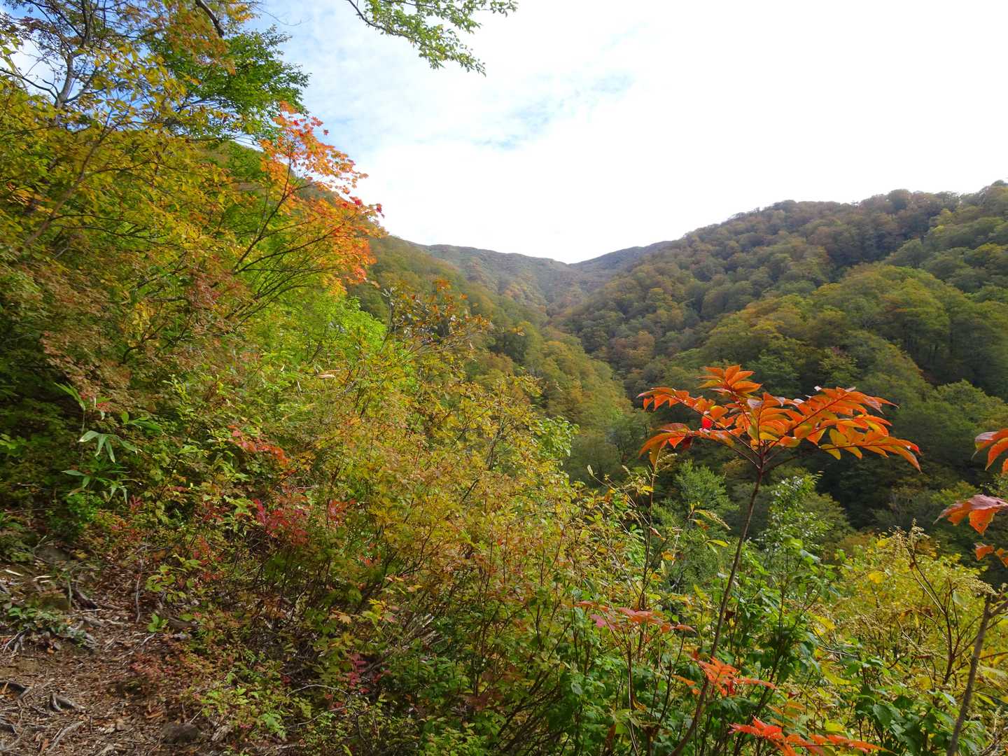 有屋口登山口-神室山 往復コースの写真