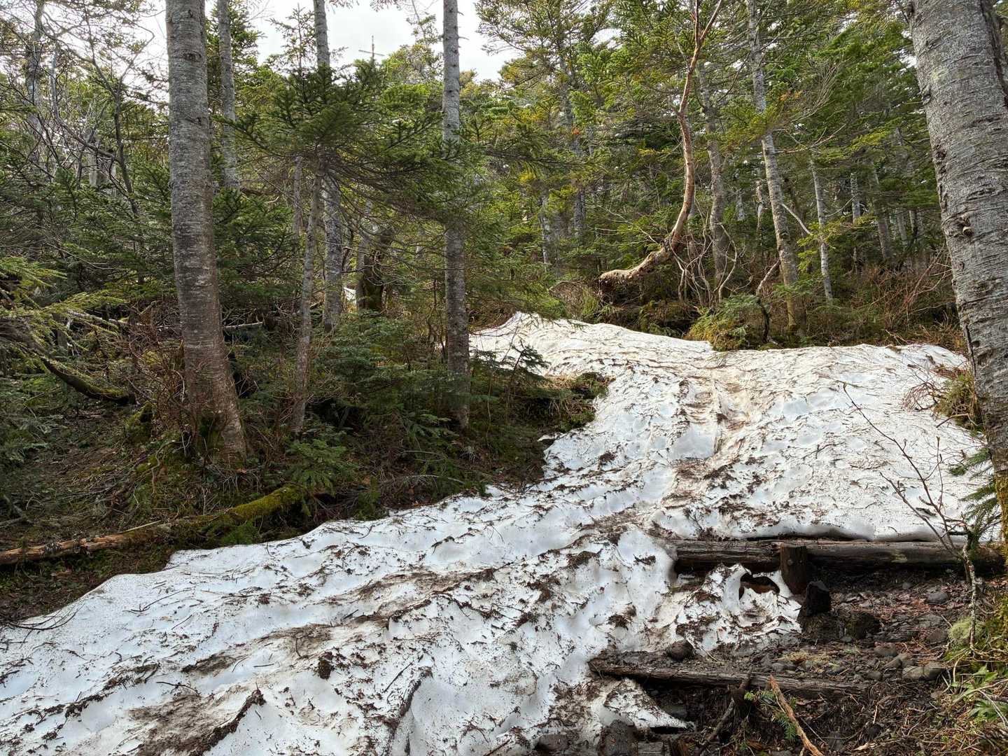 雪が出てきましたがツボ足で問題なし🦶