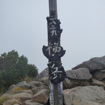 横岳（奥ノ院）山頂　
2829m
(2830m)