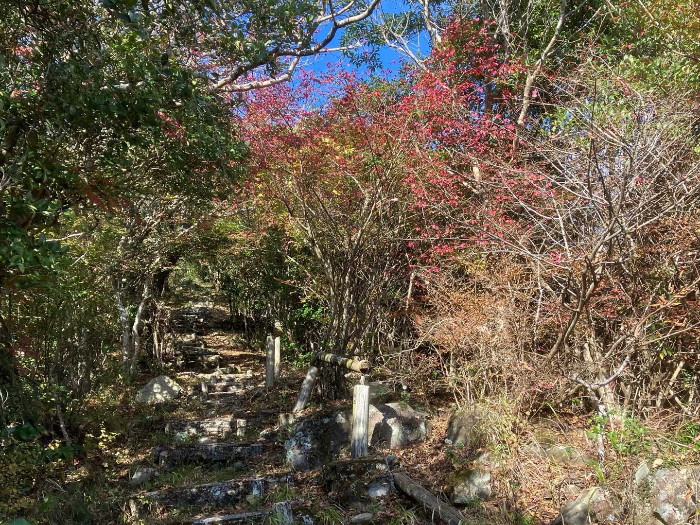 急登の先にちらり紅葉🍁