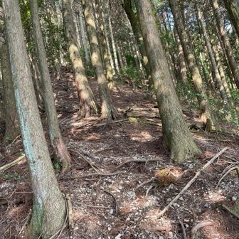 後は下るのみ
なかなか厳しい下りです