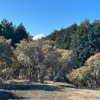 富士山チラリ🗻