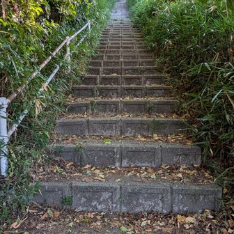 私がいう『煩悩の階段』確か107か108段ありました。