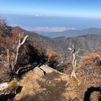 西条市？(西黒森山頂から)