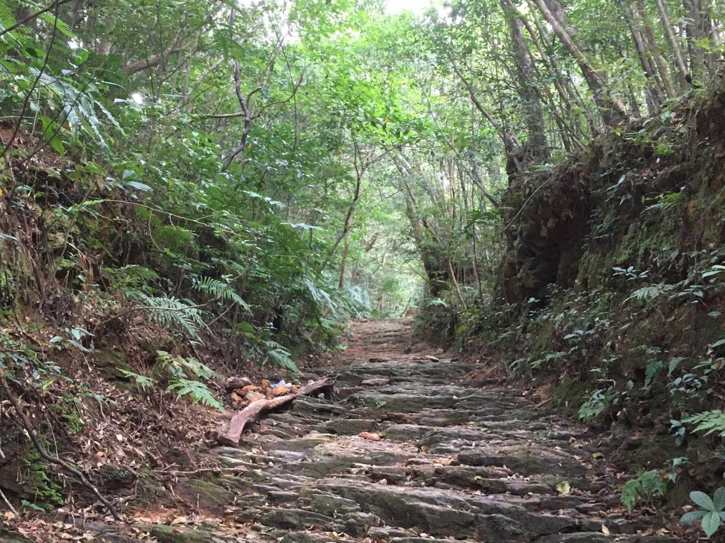 何この岩？石畳？
