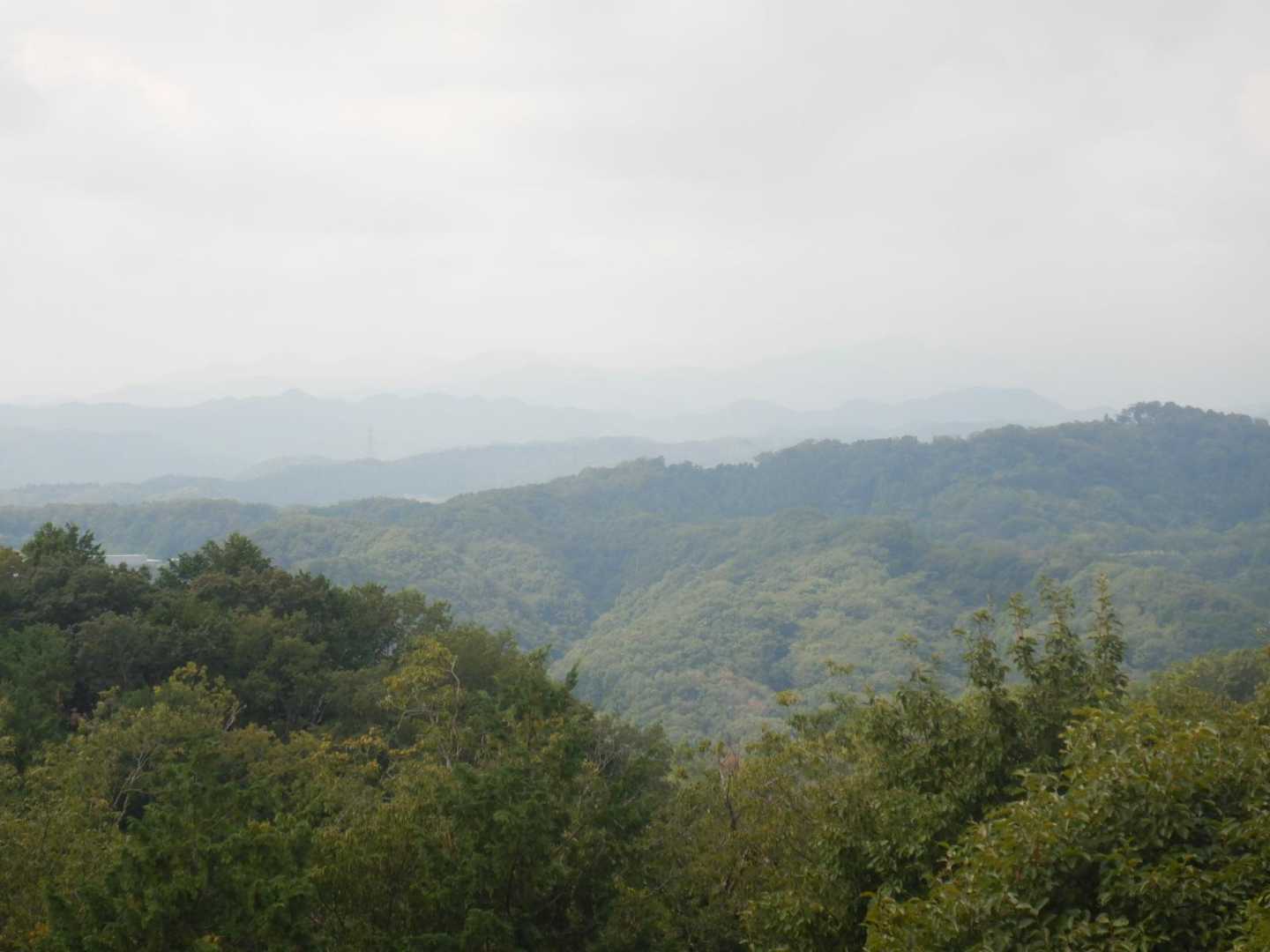 天覧山-多峯主山 周回コースの写真
