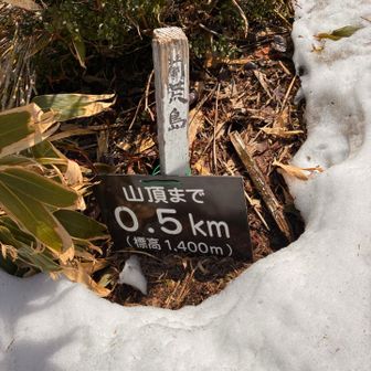 登る途中わからなかった。
前荒島岳の標識。
夏道側にいらっしゃる🤭
