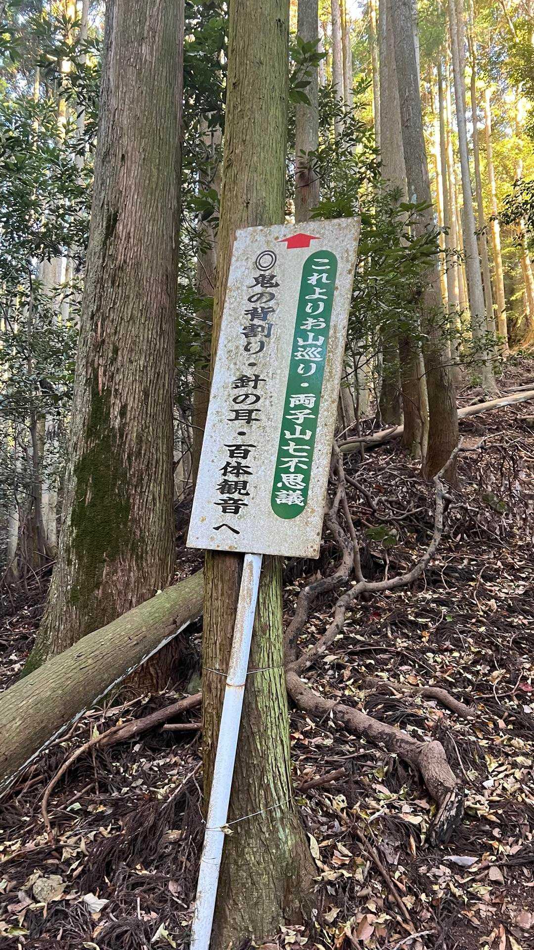 気になってたこちらへ🤭