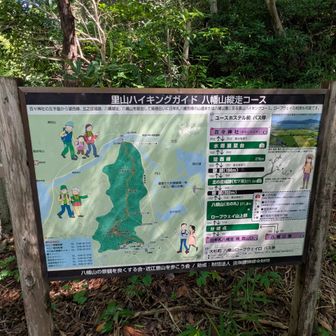 ここから八幡山に登ります💪