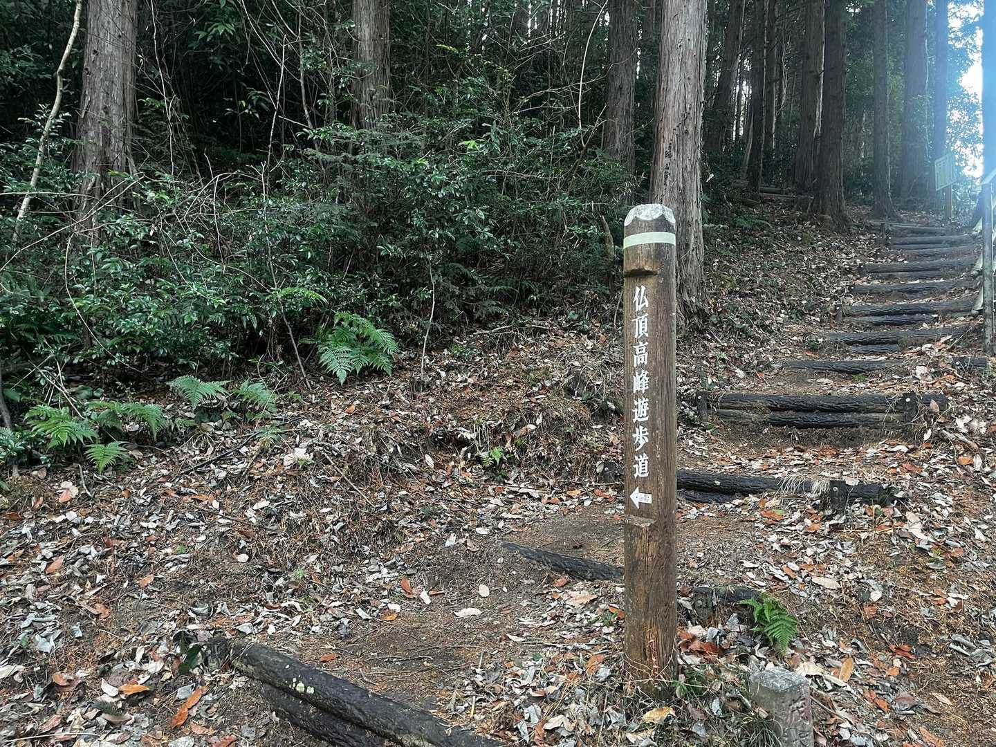 高峯-奈良駄峠-仏頂山 往復コースの写真
