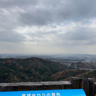 展望台からの景色