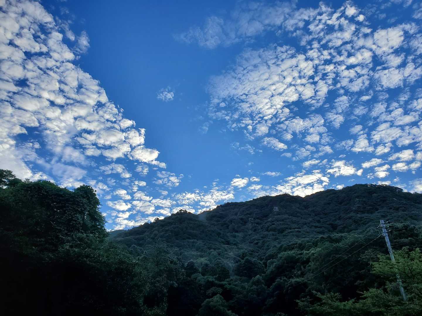登山口から☺️
ほんと久しぶりの青☀️空