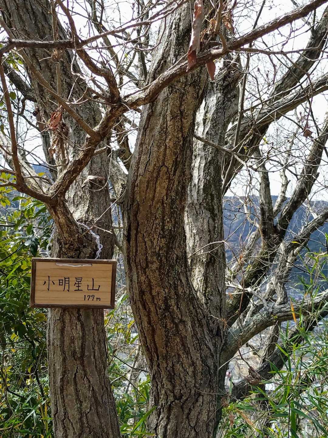小明星！！小さい時お父さんと良く来たな。